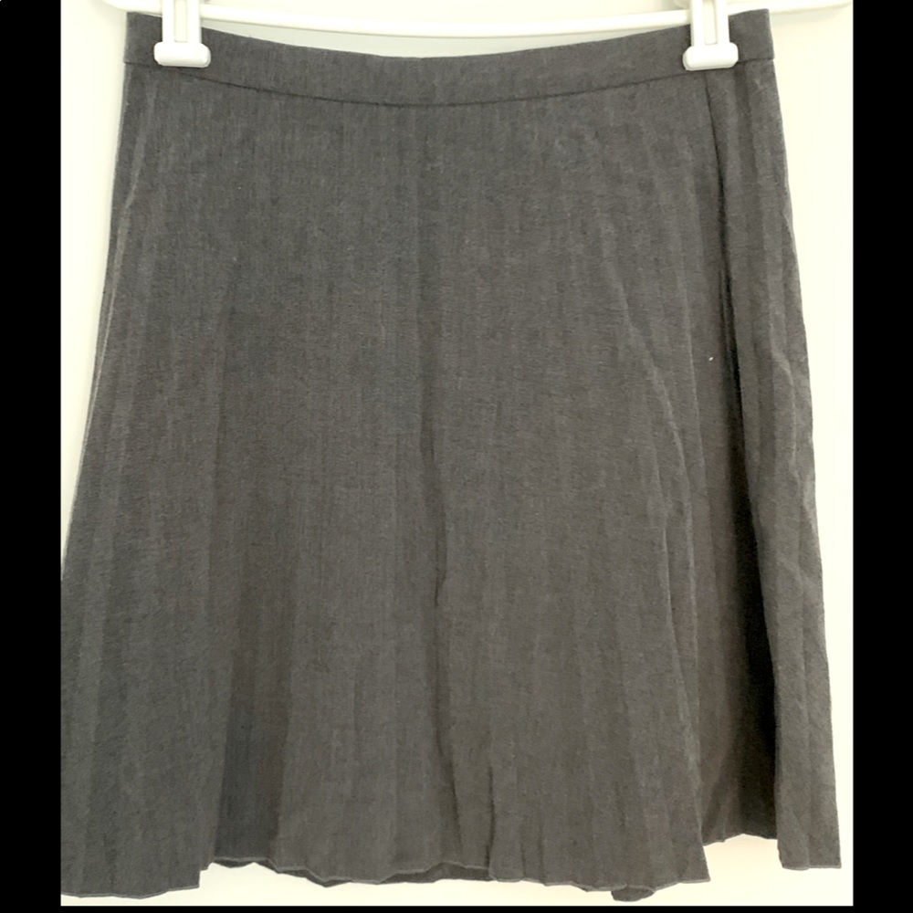 JCrew Pleated Skirt